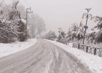 جموں وکشمیر میں تازہ برف باری، پہاڑوں پر سفید چادر بچھ گئی