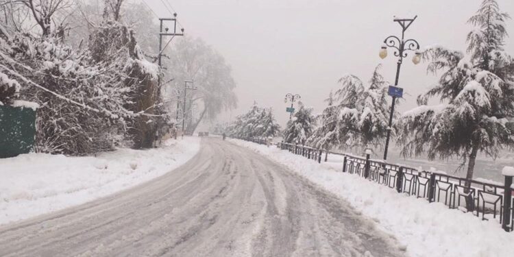 جموں وکشمیر میں تازہ برف باری، پہاڑوں پر سفید چادر بچھ گئی