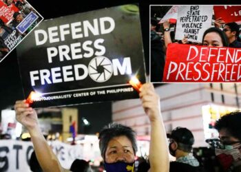 سال 2022 صحافیوں کے لیے بدترین سال ثابت ہوا:سہیل انجم