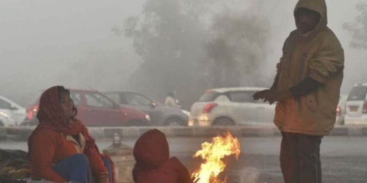 شمالی ہندوستان میں شدید سردی کی لہر ، عام زندگی مفلوج