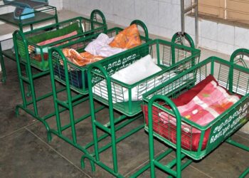 سماج کا المیہ: جھاڑی، کوڑے میں دم توڑتے بچے