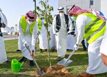 سعودی گرین انیشیٹو: جازان یونیورسٹی سعودی عرب میں 1,800 سے زائد درخت لگائے گئے