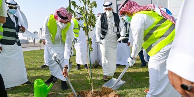 سعودی گرین انیشیٹو: جازان یونیورسٹی سعودی عرب میں 1,800 سے زائد درخت لگائے گئے