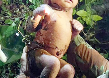 سماج کا المیہ: جھاڑی، کوڑے میں دم توڑتے بچے