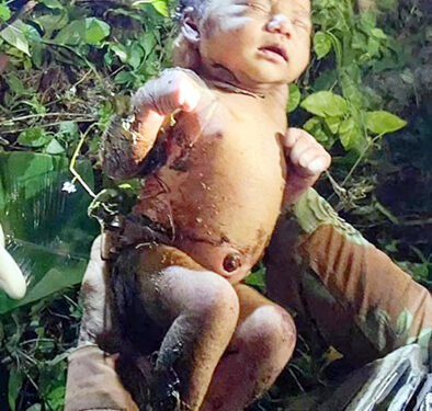 سماج کا المیہ: جھاڑی، کوڑے میں دم توڑتے بچے