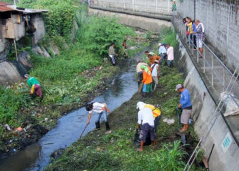 اسلام میں صفائی اور پاکی دونوں مطلوب ہیں