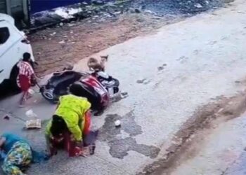 آوارہ کتوں سے بچنے کیلئے اسکوٹی سوار خاتون بچے سمیت سڑک پر کود گئی