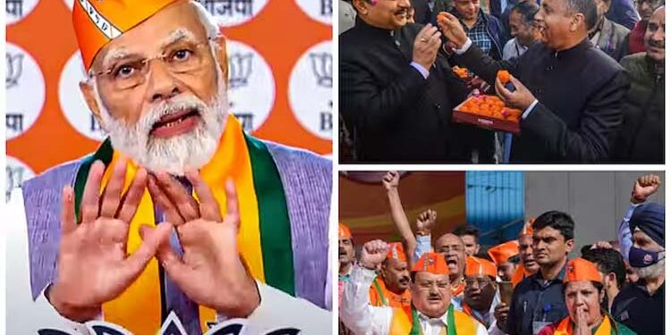 تخت دروغ کاشہنشاہ