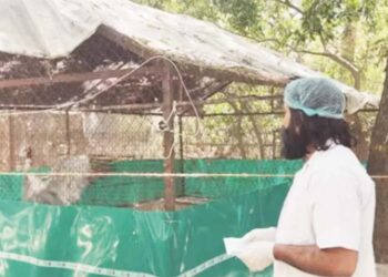 کیا عارف اور سارس کو ملا دینا چاہئے!اٹھنے لگی ہے آواز