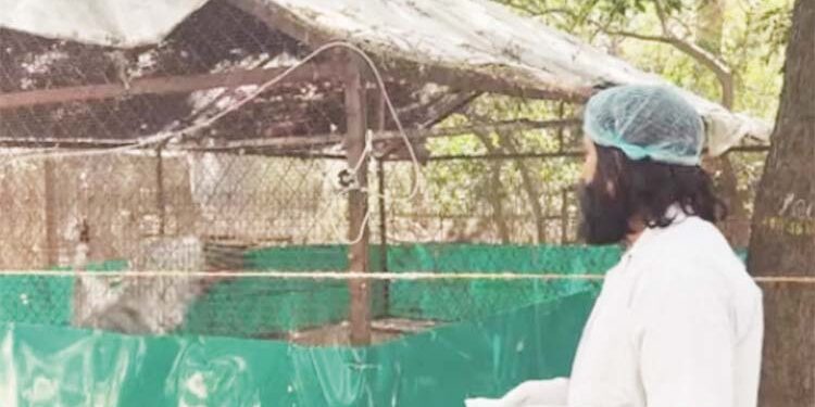 کیا عارف اور سارس کو ملا دینا چاہئے!اٹھنے لگی ہے آواز