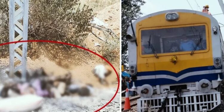 جھارکھنڈ :ریلوے اسٹیشن پر کرنٹ لگنے سے 8کی موت ایک درجن سے زائد افراجھلسے