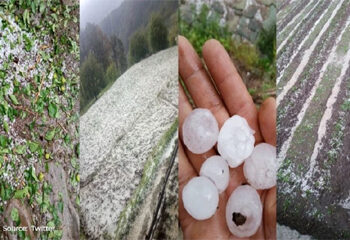 سری نگر میں موسم بدلا’ رم جھم بارش ‘تیز آندھی سے باغات اور فصلوں کو نقصان