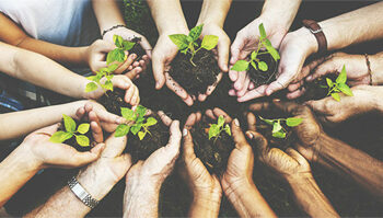 کیا ہم اپنی سماجی ذمہ داری نبھا رہے ہیں؟