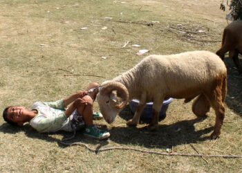 باپ بیٹے کی عظیم قربانی