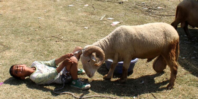 باپ بیٹے کی عظیم قربانی