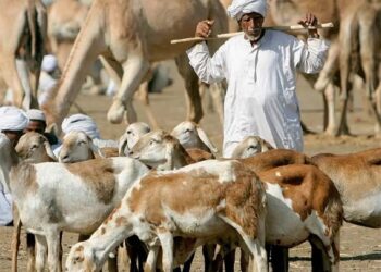 قربانی کی جگہ اس کی رقم ضرورت مندوں کو دینا