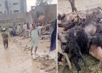 پاکستان میں طوفانی بارش سے 28 افراد ہلاک، 145 زخمی