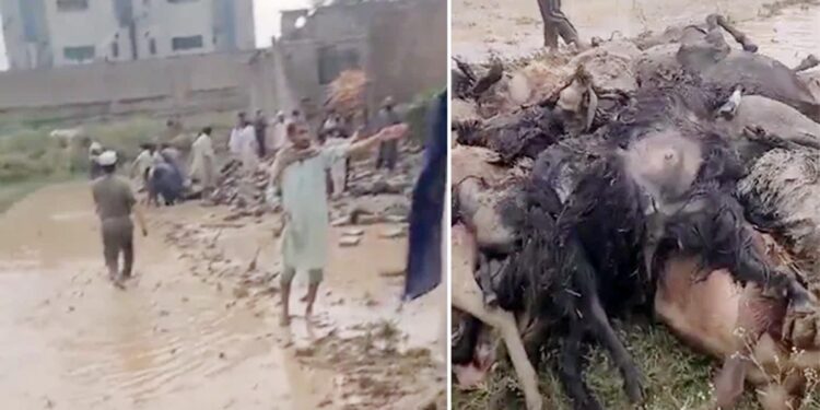 پاکستان میں طوفانی بارش سے 28 افراد ہلاک، 145 زخمی