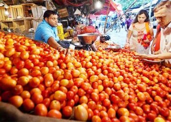 نہیں مل رہے ٹماٹر 80 روپے کلو ، 159 روپے میں ’سفل‘ اور کھلے بازارمیں 150 روپے فی کلو تک قیمت
