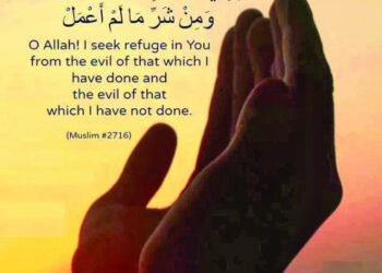 مجبوری میں نہیں خوشدلی سے