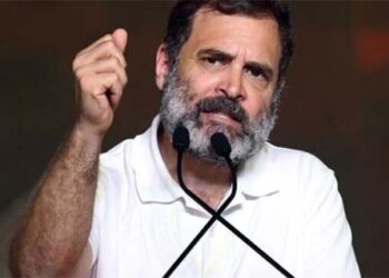 آپ ہمیں جو چاہیں کہیں لیکن ہم "انڈیا”ہیں :راہل گاندھی