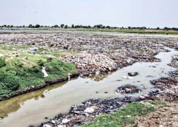 سیلاب کے بعد جمنا کی حالت ابتر، گندگی کا انبار