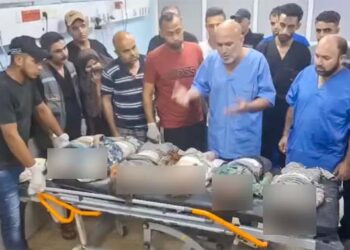 ہمیں یقیں ہے ہمارا قصور نکلے گا