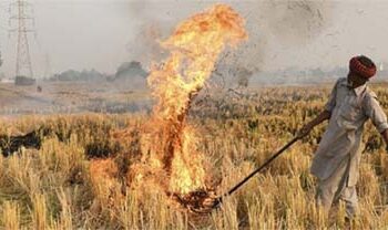 پرالی جلانے والوں کو مالی فائدہ کیوں دیا جائے