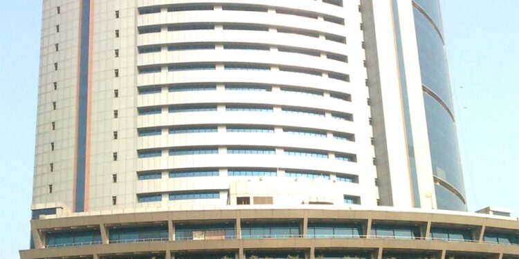 ایم سی ڈی لاوارث کتوں کی نس بندی کے پانچ نئے مراکز کھولے گی