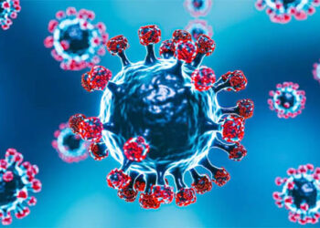 دو ہفتوں کے تمام نمونوں میں Covid JN.1 ویرینٹ پایا گیا