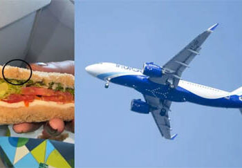 انڈیگو کی پرواز میں مسافر خاتون کے سینڈوچ سے کیڑا نکل آیا