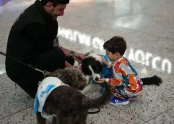 ٹریول فوبیا پر قابو پانے کیلئے استنبول ایئرپورٹ پر پانچ کتے تعینات