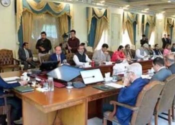 وزیر اعظم شہباز شریف کا حکومت کے ملکیتی تمام اداروں کی نجکاری کا اعلان