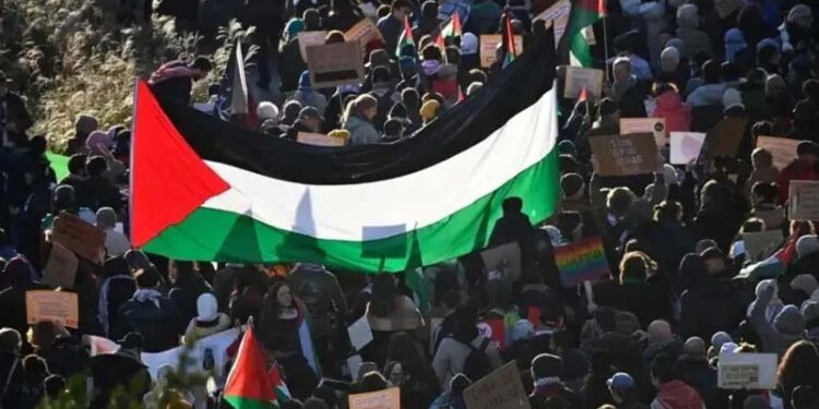 غزہ کی حمایت میں یونیورسٹی طلبہ کا احتجاج بیلجیم اور ہالینڈ تک پہنچ گیا