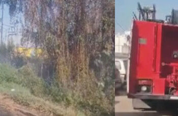 بجلی کے تاروں سے نکلی چنگاری سے جنگل میں شعلے بھڑک اٹھے