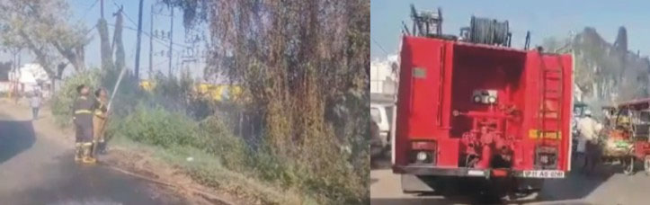 بجلی کے تاروں سے نکلی چنگاری سے جنگل میں شعلے بھڑک اٹھے