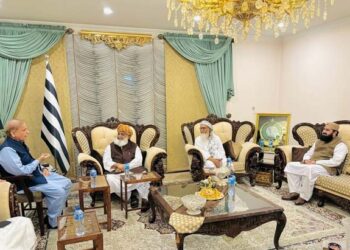 شہباز شریف اور وزیر داخلہ کی مولانا فضل الرحمان سے ملاقاتیں، ’سڑک کو ٹھنڈا رکھنا واحد مقصد‘