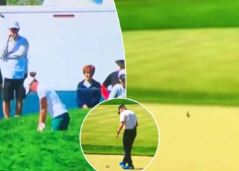 قاتل شاٹ : خاتون گولفر نے پرندے کو جان سے مار ڈالا