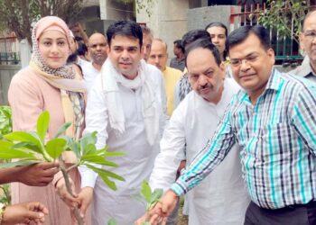 شگفتہ چودھری کا نگریس کو آگے بڑھارہی ہیں: چودھری زیبر