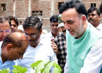 کجریوال حکومت نے بابر پور میں شجرکاری مہم شروع کی