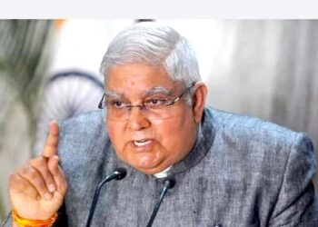 ’پارلیمنٹ کا بنیادی کردار آئین اور جمہوریت کی حفاظت کرنا ہے ‘