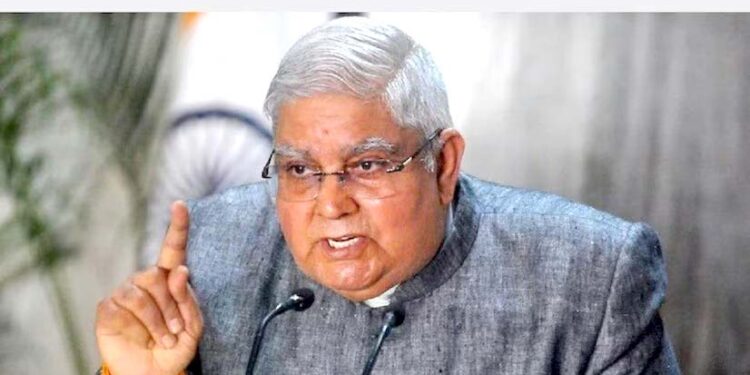 ’پارلیمنٹ کا بنیادی کردار آئین اور جمہوریت کی حفاظت کرنا ہے ‘