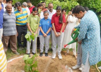 گریٹر کیلاش اسمبلی میں آج میگا درخت لگانے کا پروگرام منایا گیا: سوربھ بھاردواج