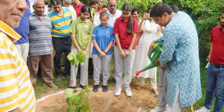 گریٹر کیلاش اسمبلی میں آج میگا درخت لگانے کا پروگرام منایا گیا: سوربھ بھاردواج