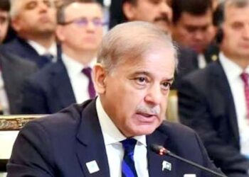 ایس سی او اسرائیلی بربریت کی مذمت اور فوری جنگ بندی کے لیے آواز اٹھائے: شہباز شریف