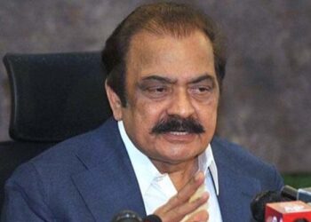 تحریک انصاف کو وہ ریلیف دیا گیا جو انہوں نے مانگا ہی نہیں: رانا ثنا اللہ