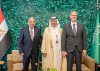 سعودی عرب اور مصر توانائی کے شعبے میں تعاون کو فروغ دیں گے