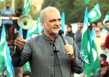 مقامی آئی پی پیز کو فوری ختم کیا جائے: حافظ نعیم