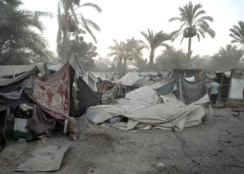 غزہ میں 10 لاکھ سے زیادہ پولیو ویکسین بھیج رہے ہیں: عالمی ادارۂ صحت