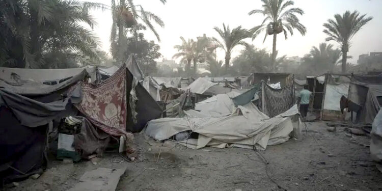 غزہ میں 10 لاکھ سے زیادہ پولیو ویکسین بھیج رہے ہیں: عالمی ادارۂ صحت